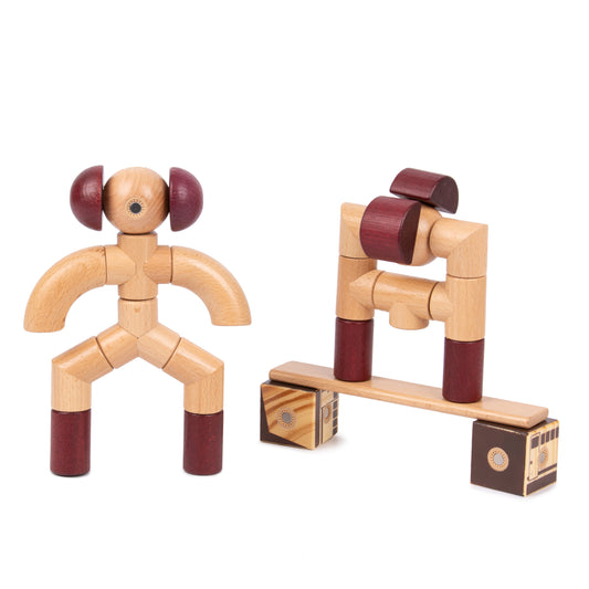 Robotic STEM Block