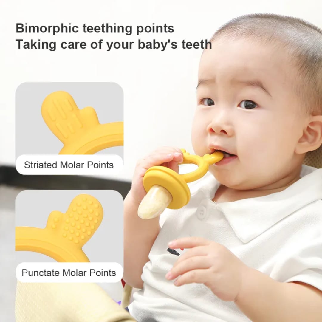 Food Pacifier