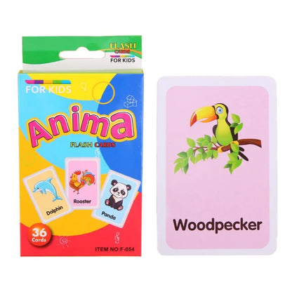 Flash Cards