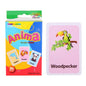 Flash Cards