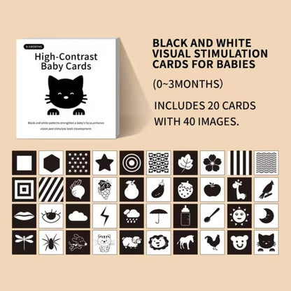 Infant Flash Card