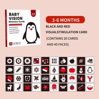 Infant Flash Card